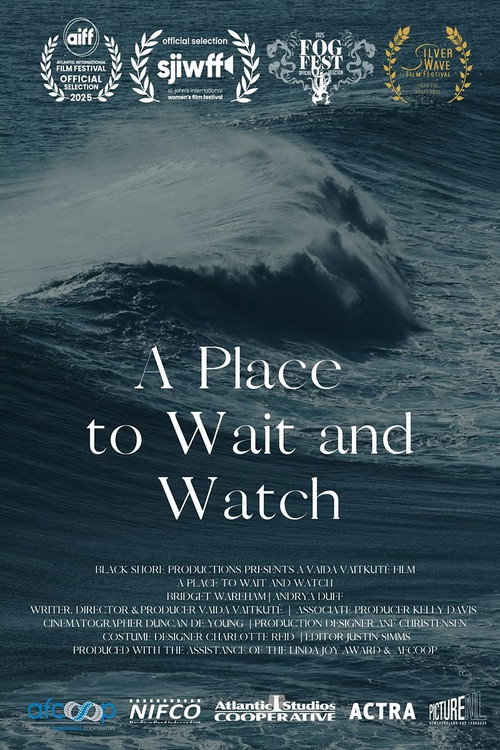 A Place to Wait and Watch Poster