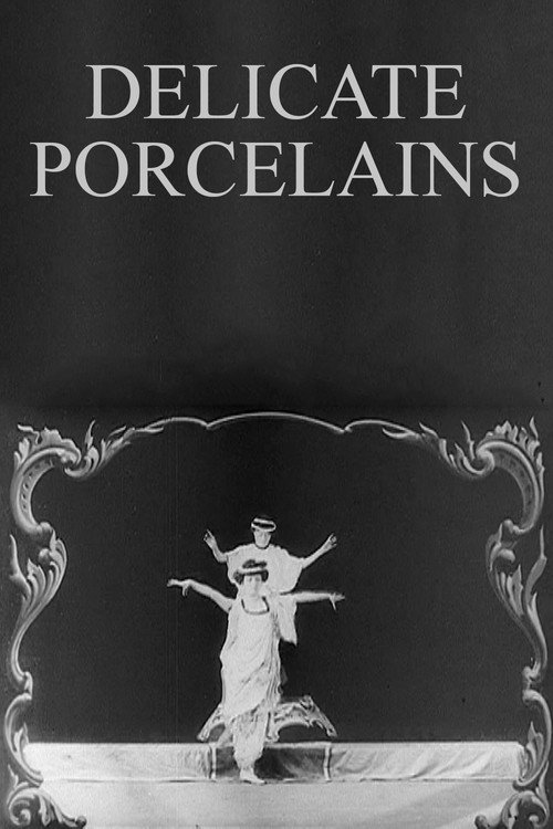 Delicate Porcelains Poster