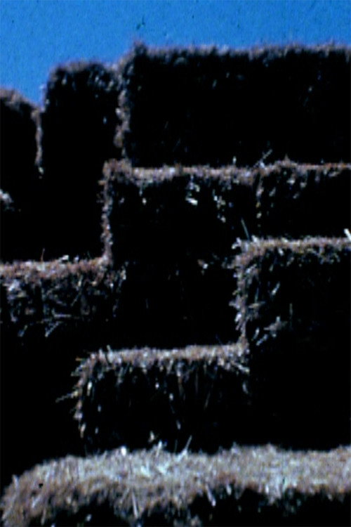 Hey! Poster