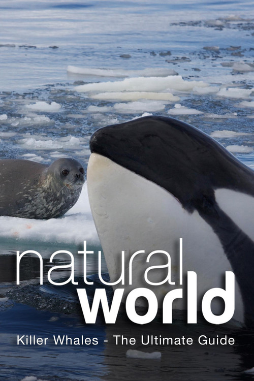 Killer Whales - The Ultimate Guide Poster