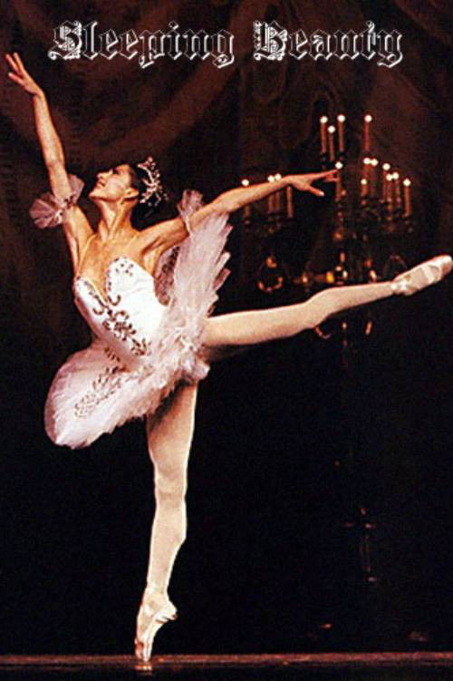 Sleeping Beauty Poster