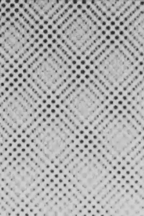 Phenomenon No. 1 Poster