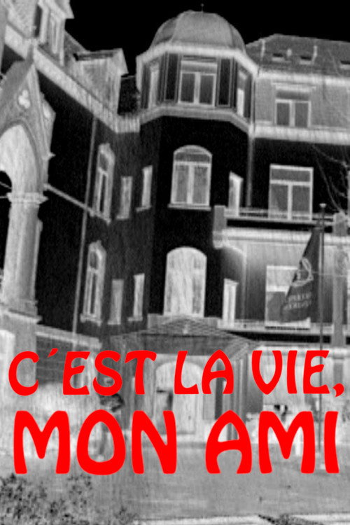 C'est la vie, mon ami Poster
