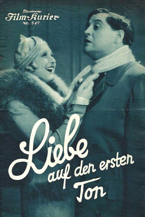 Love at First Sight Poster