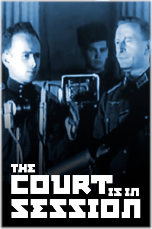 The Court Is in Session Poster