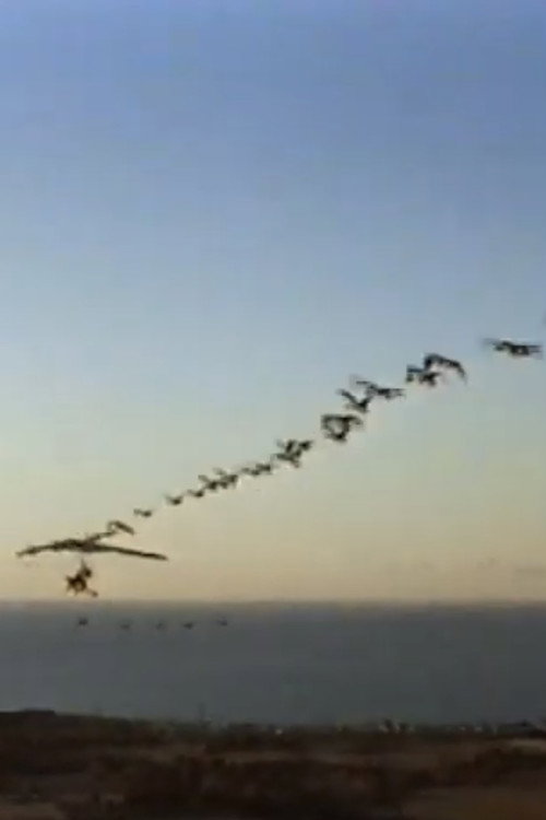 The Ultra Geese Poster