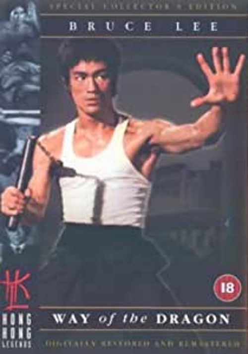 Reflections on 'the Little Dragon' Poster