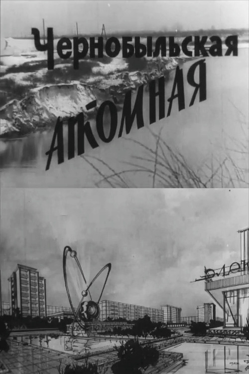 Chornobyl Nuclear Station Poster
