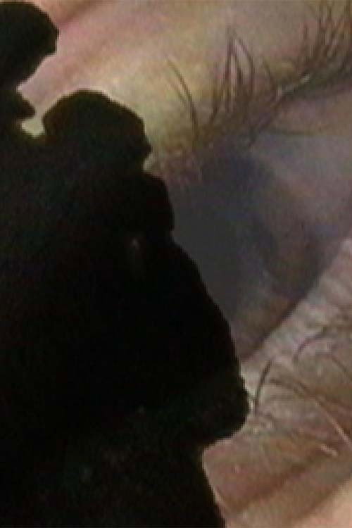 Only Sneezes Are Forever Poster