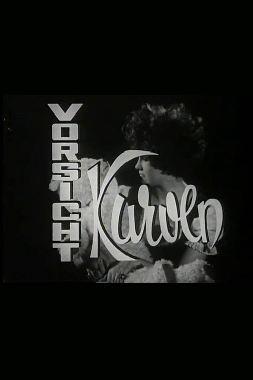 Vorsicht Kurven Poster