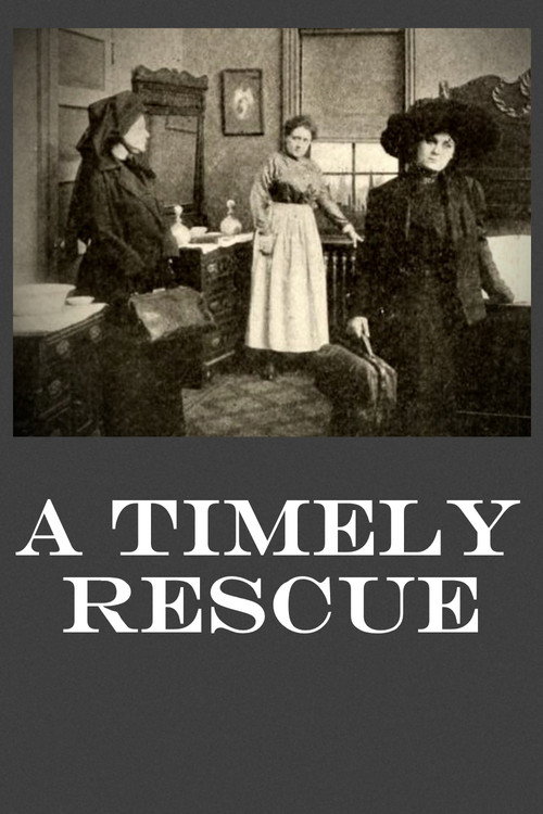 A Timely Rescue Poster