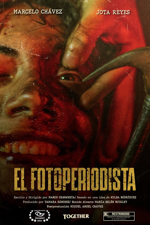 The photojournalist Poster