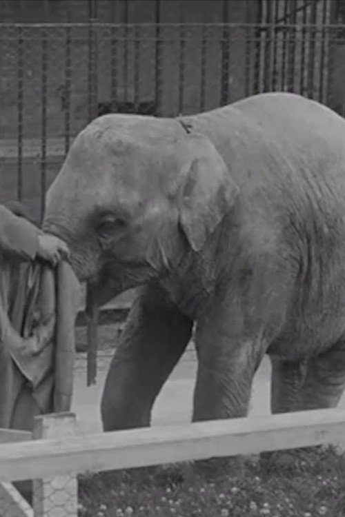 The Thirteenth Instant Poster