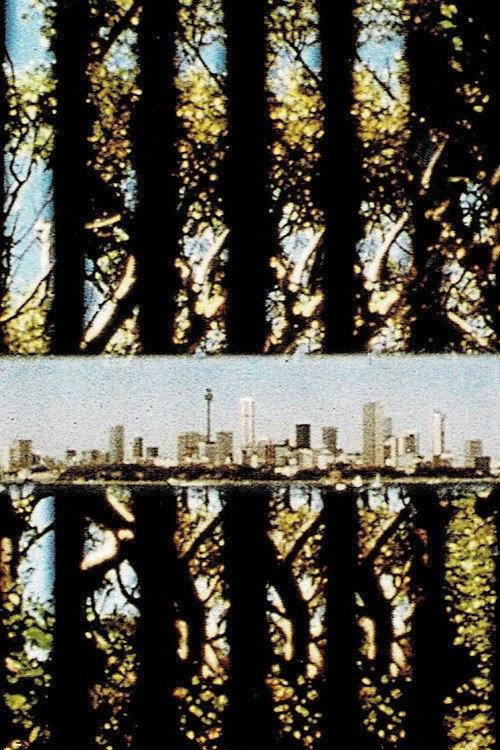 Sydney-Bush Poster