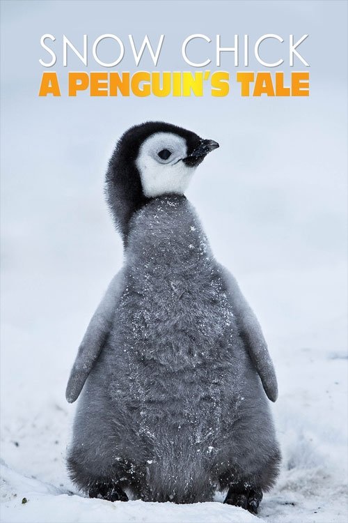 Snow Chick - A Penguin's Tale Poster