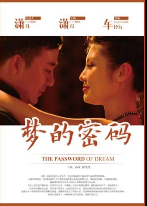 梦的密码 Poster