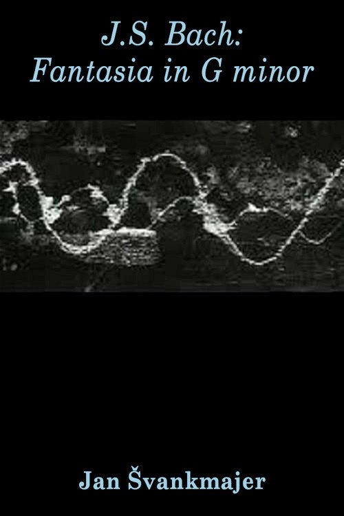 J.S. Bach: Fantasia in G minor Poster