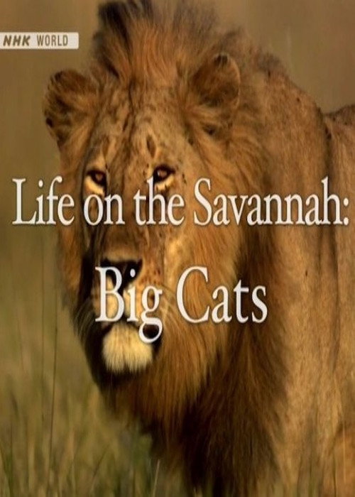 Life on the Savannah: Big Cats Poster