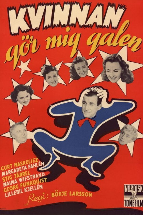 The Woman Drives Me Crazy Poster