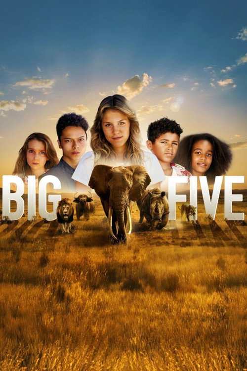 Big Five Poster