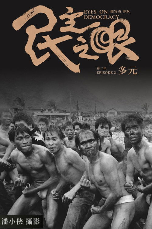 Eyes on Democracy: Diverse Poster