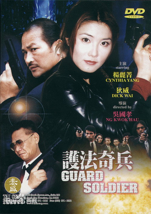 Guard Soldier Poster