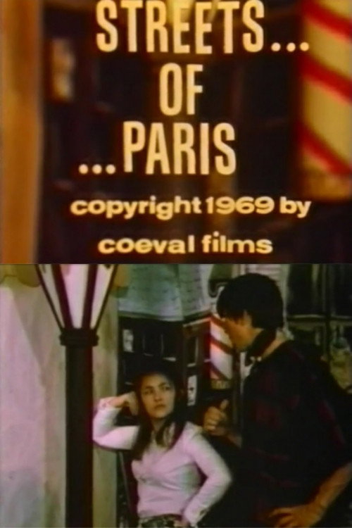Streets of Paris Poster