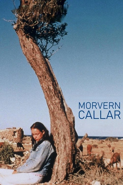 Morvern Callar Poster
