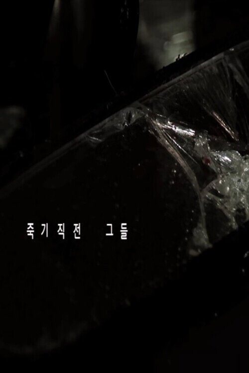 Just Before They Died Poster