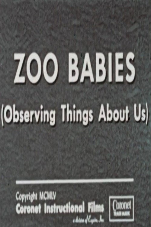 Zoo Babies (Observing Things About Us) Poster