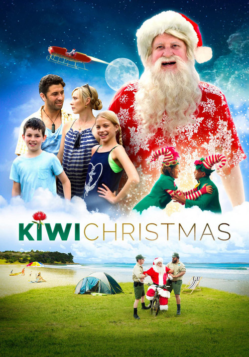 Kiwi Christmas Poster