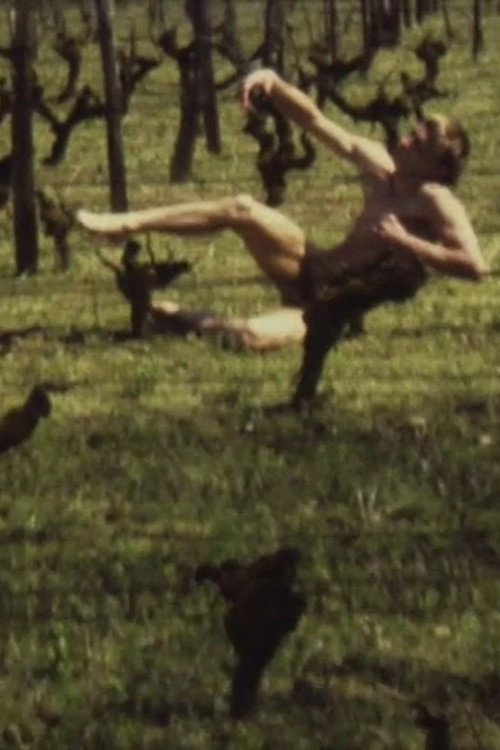 A Lost Body Poster