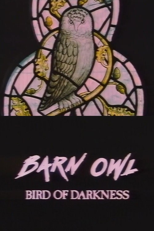 Barn Owl: Bird of Darkness Poster