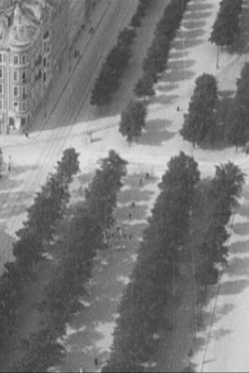 Balloon Trip over Stockholm Poster