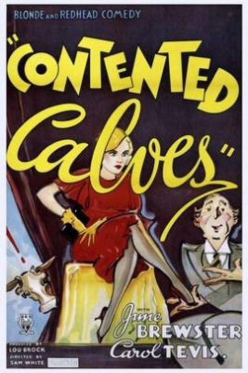 Contented Calves Poster