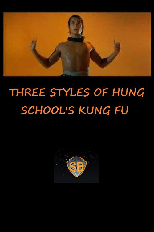 Three Styles of Hung School's Kung Fu Poster