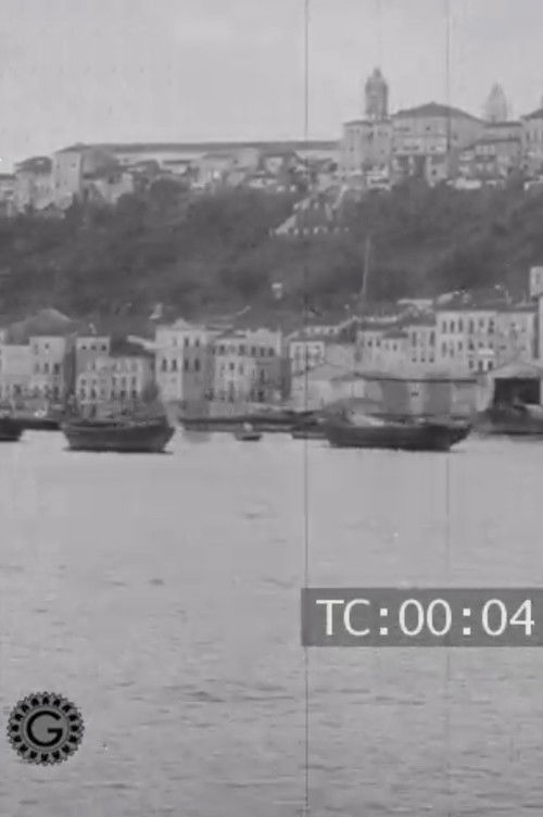 The city of Bahia and its surroundings Poster