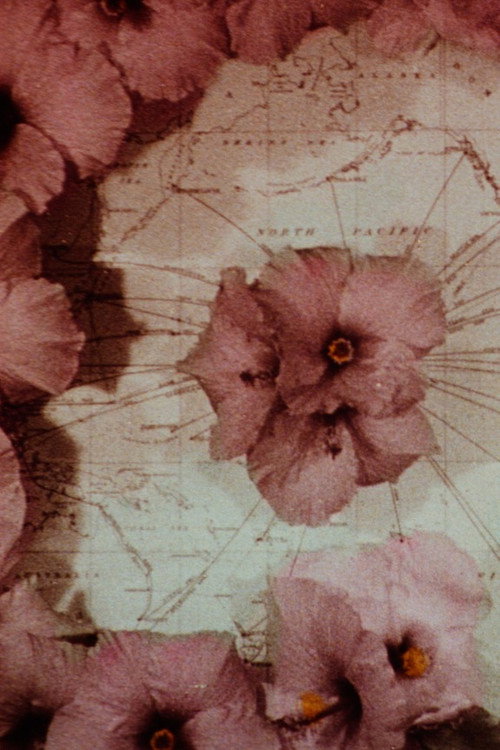 The Beauty Thief Poster