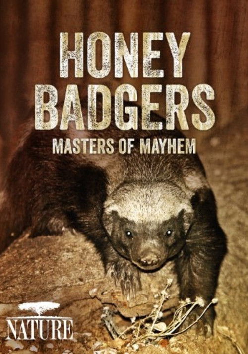 Honey Badgers: Masters of Mayhem Poster