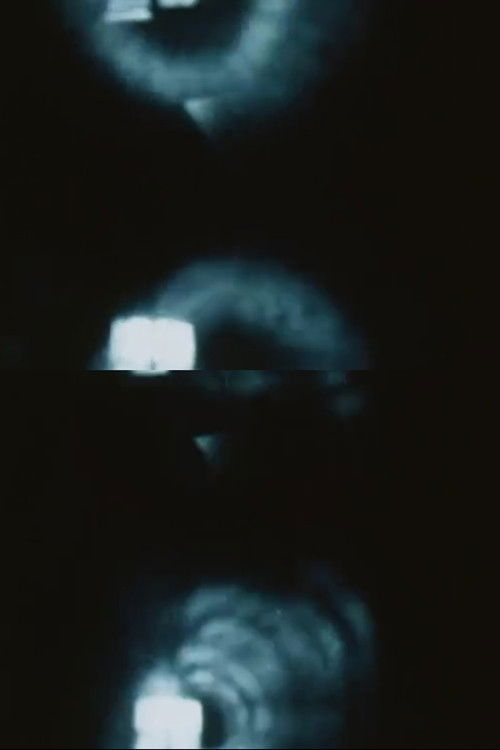 Pinhole Film (The Man Without a Movie Camera) Poster