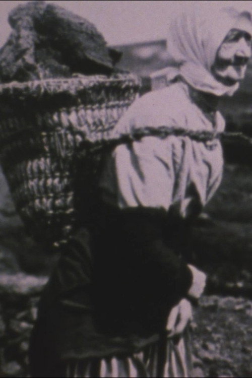 The Work They Say Is Mine Poster