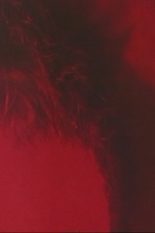 RAVEN TIME, IRON VOICE Poster
