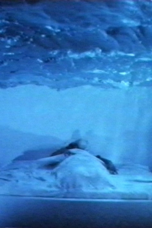 L'attacco col fuoco (Plagium 14) Poster