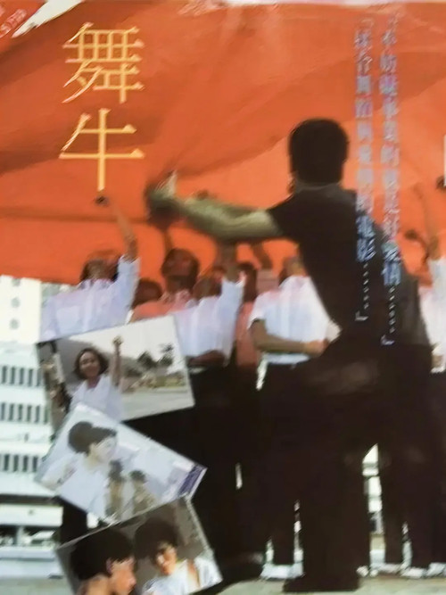 Dancing Bull Poster