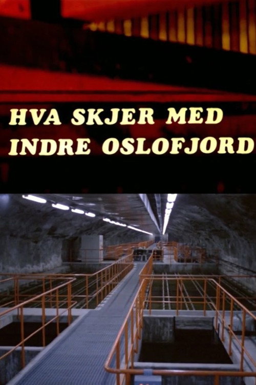 Oslofilm: Hva skjer med indre Oslofjord? Poster