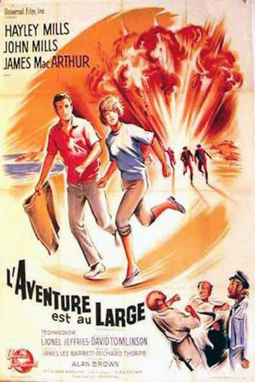 L'aventure est au Large Poster