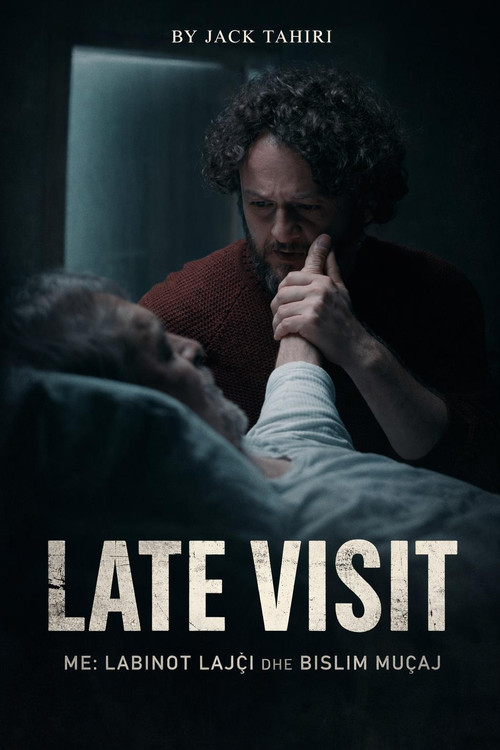 Late Visit Poster