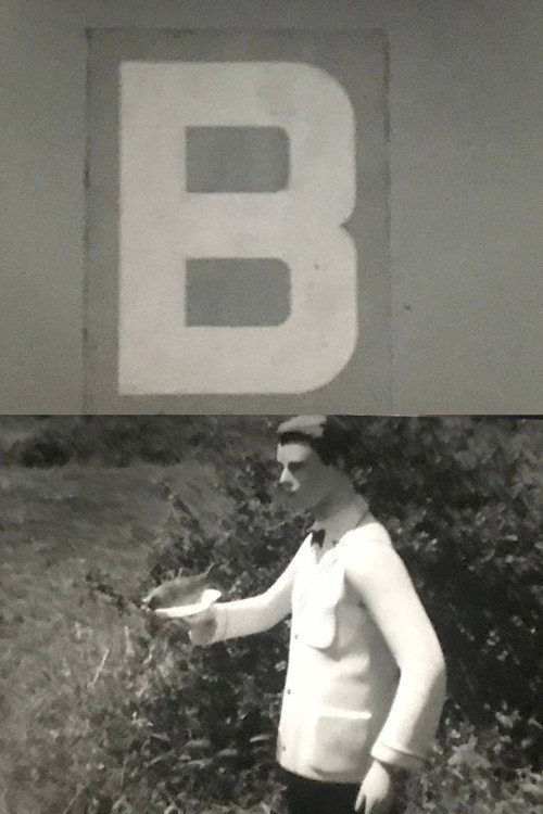 B Poster