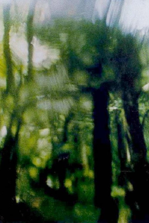 Green Canopy Poster
