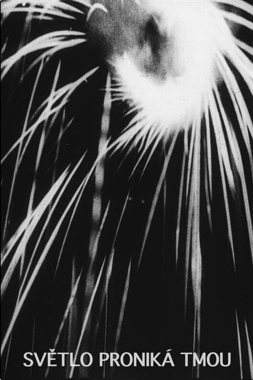 The Light Penetrates the Dark Poster